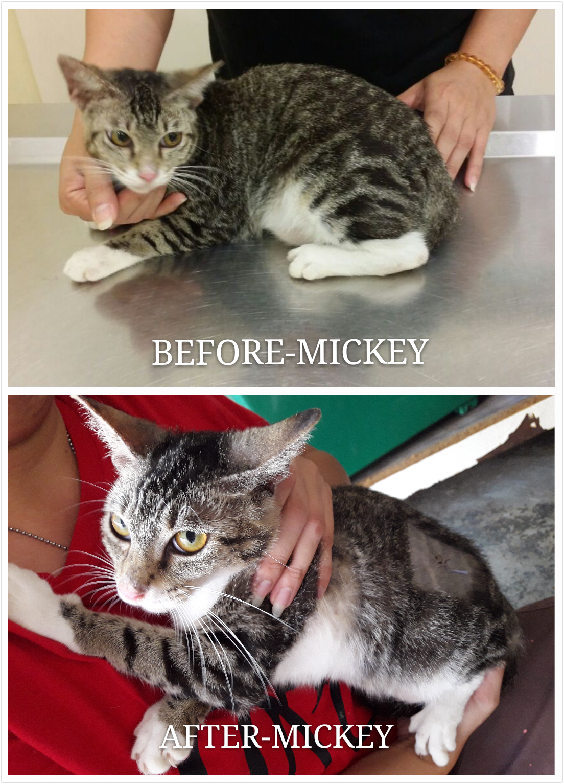mickey