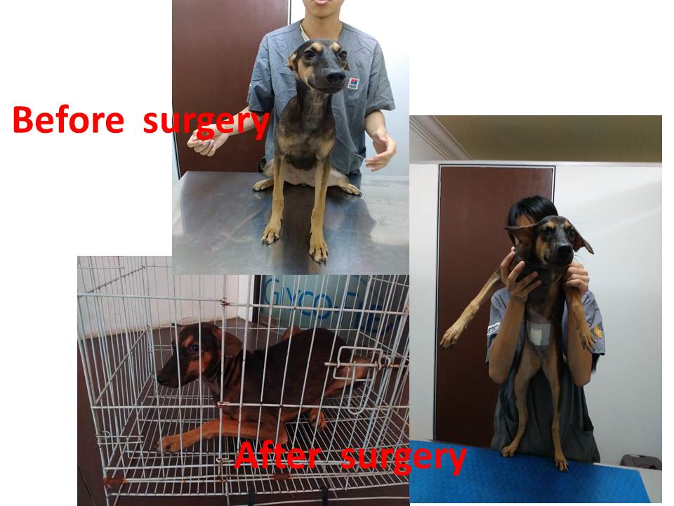 slide2