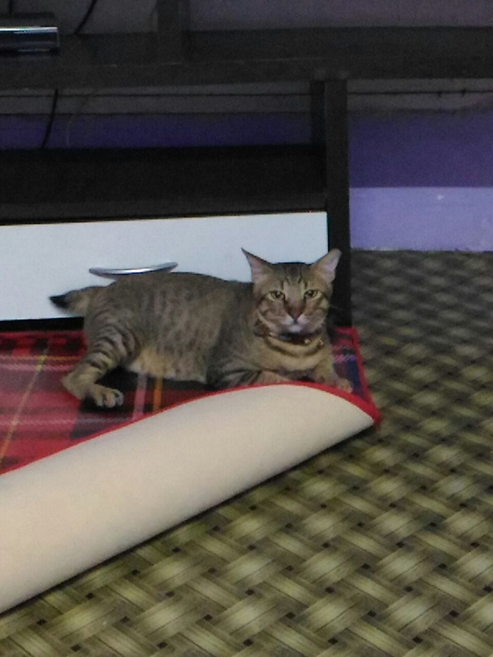 f6e33d0c-533b-4dd2-b2b3-eed4631ea6c6