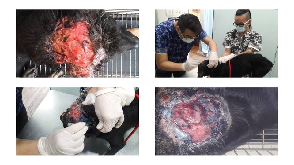 wound
