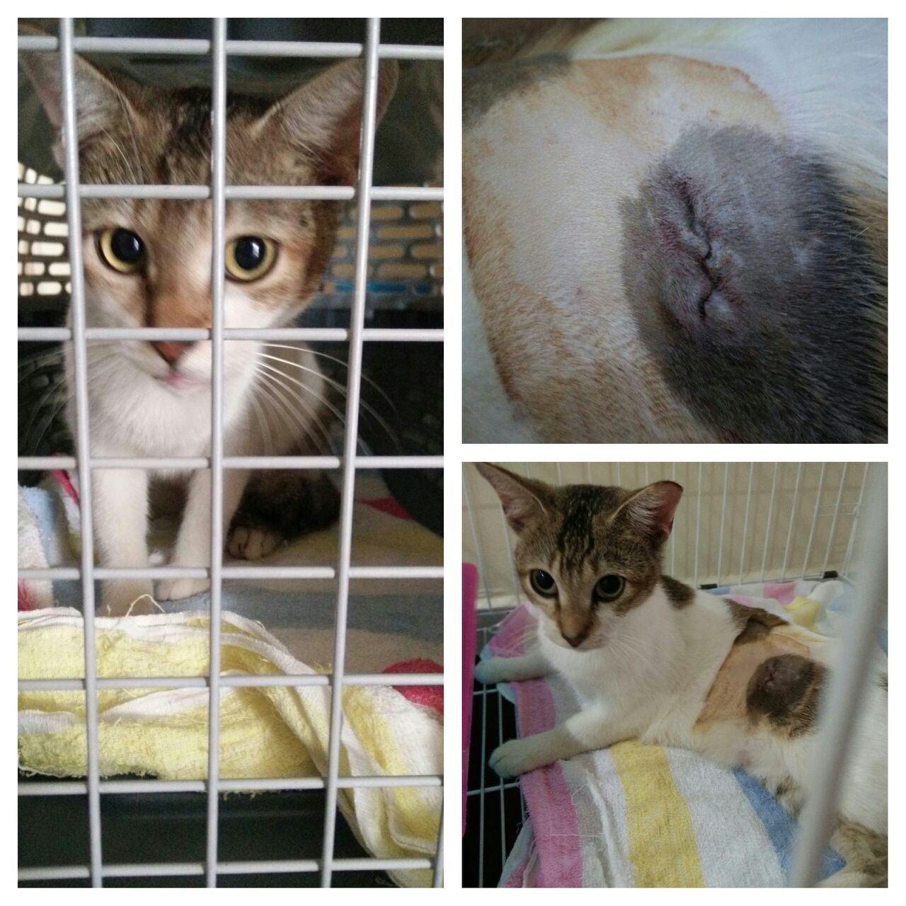 7fe31947-456f-4e44-981d-68e27cfc70f1