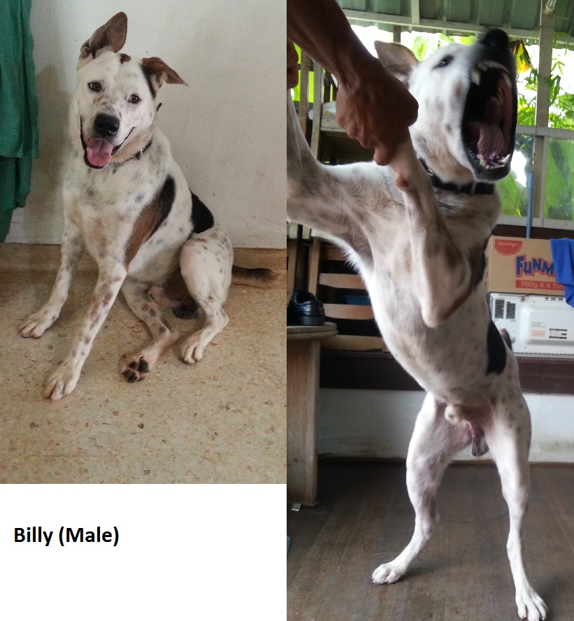 billy