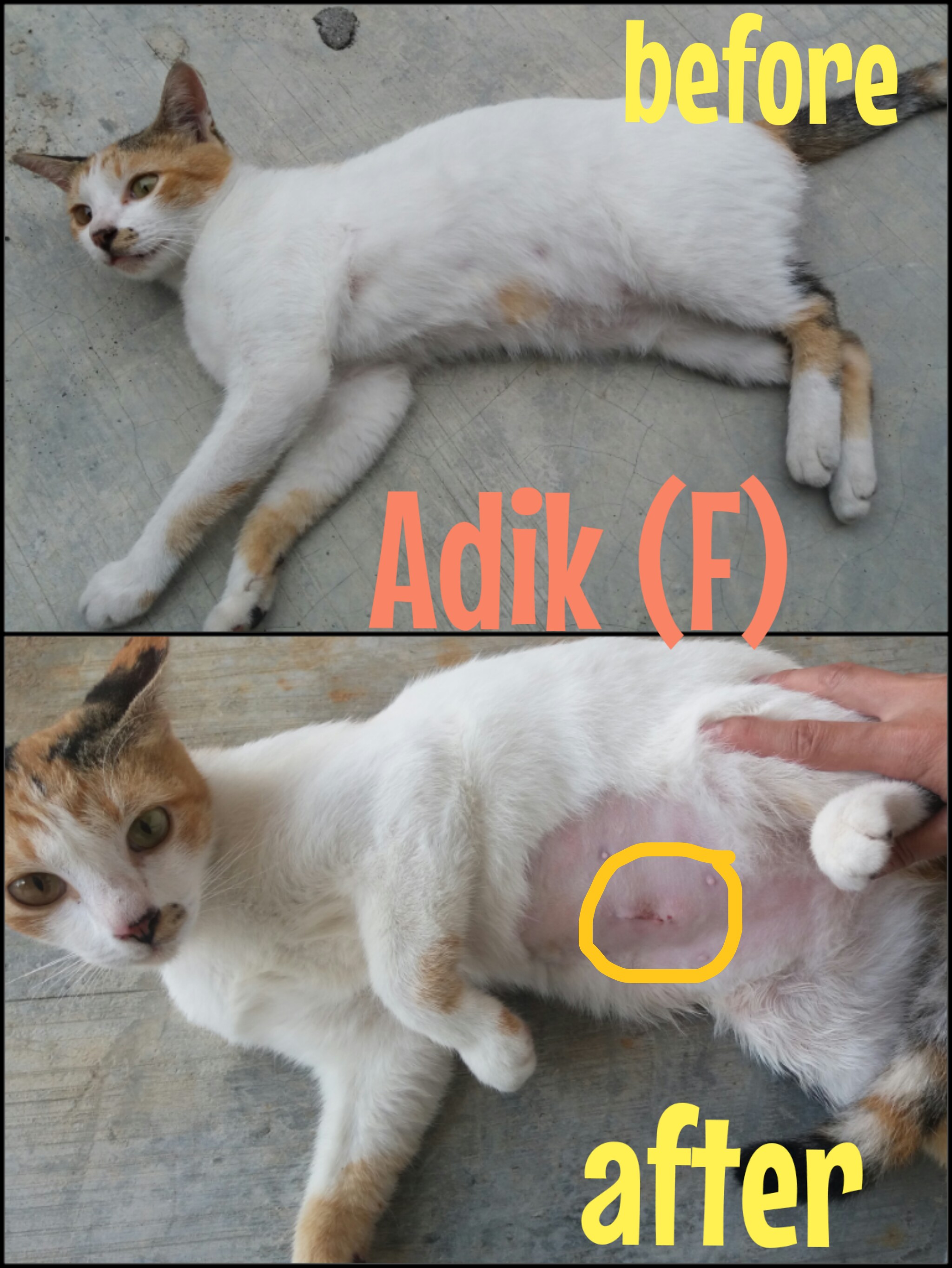 cymera_20161120_162503