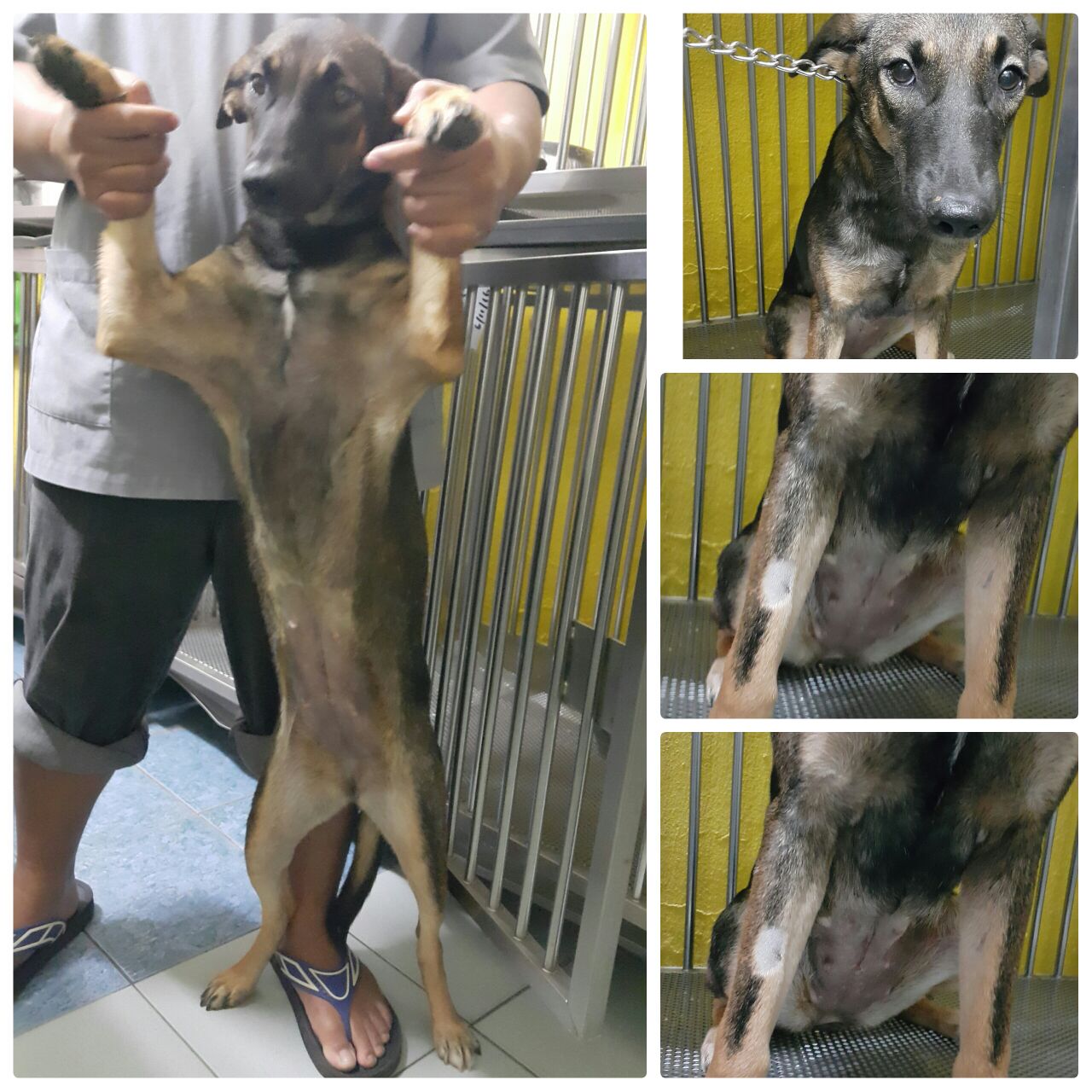 photo-for-bill-8-11-2016