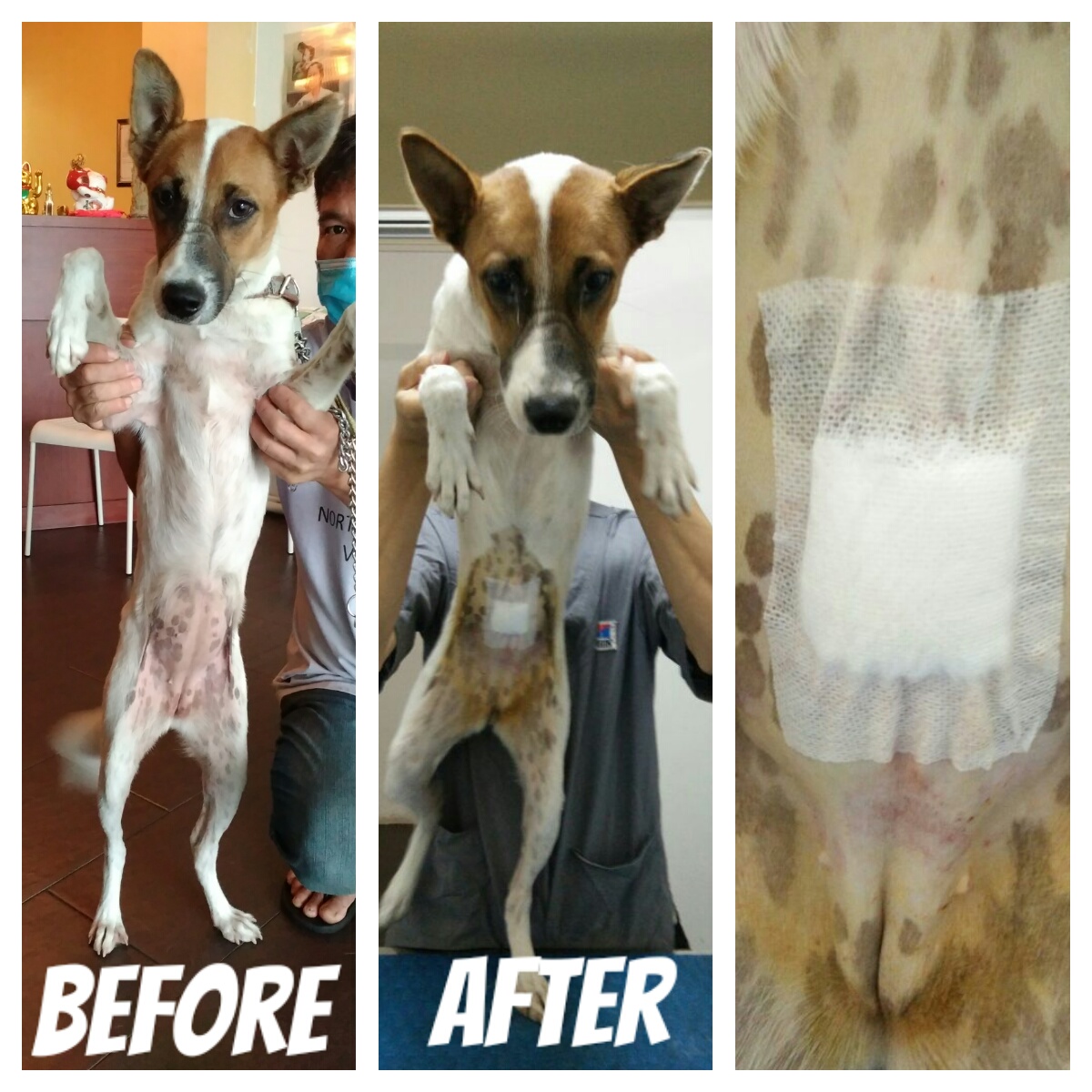 segambut-ktm-station