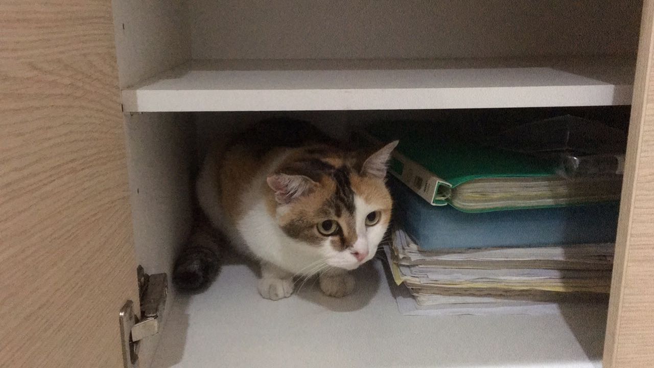 a5fb1cb8-5194-4910-b75b-c9c65c51bf1f