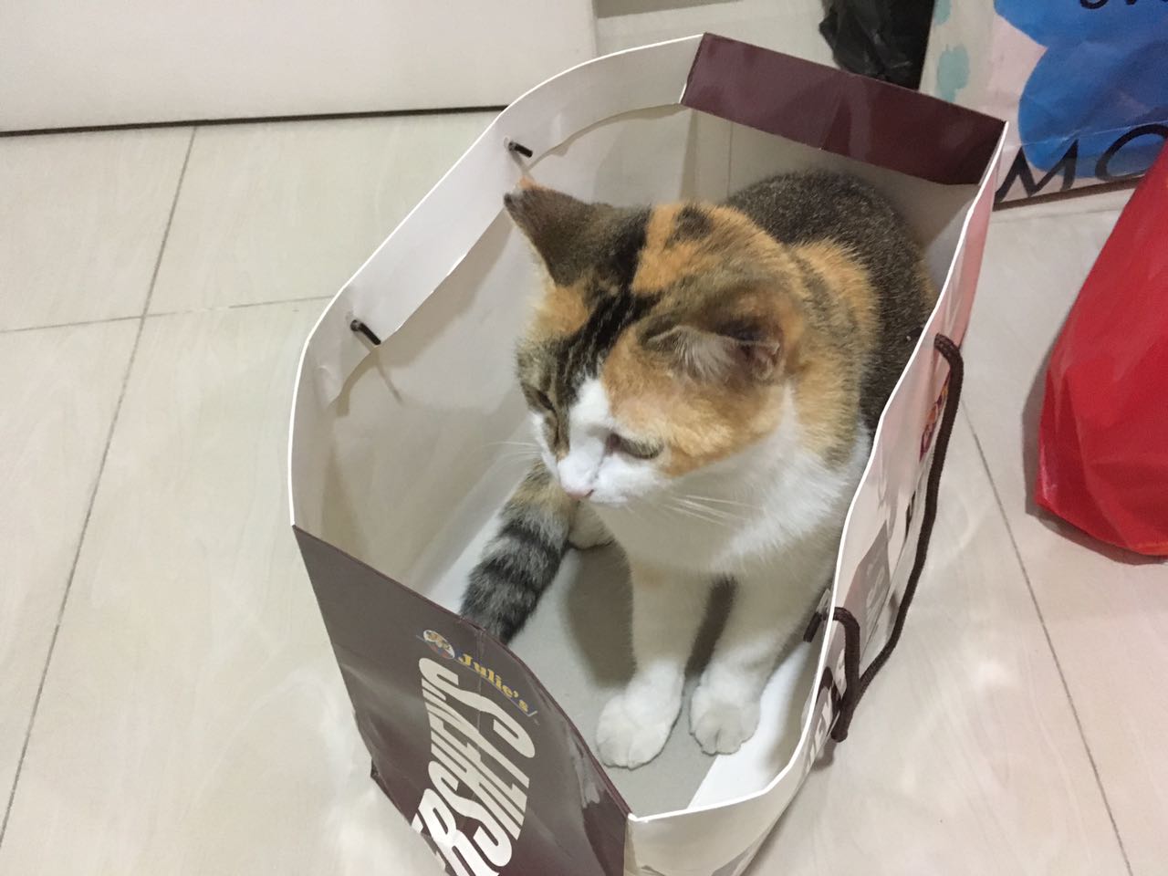 c9f7a521-602f-4c36-a6ce-076cf58868fe