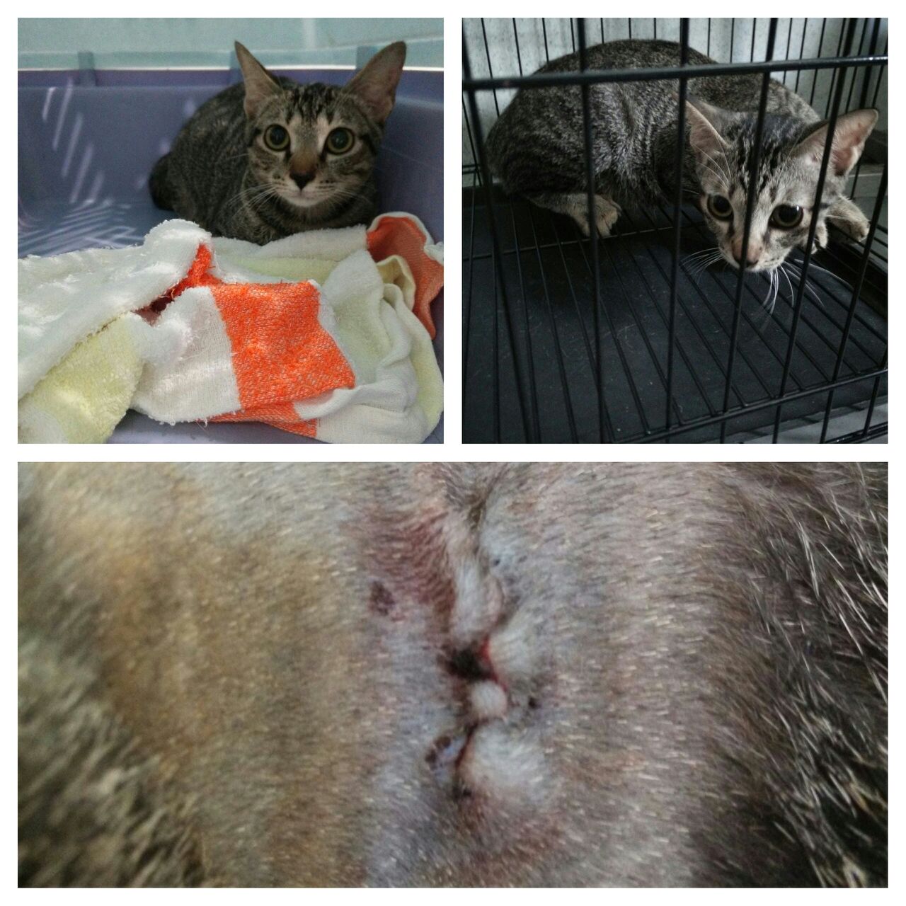 cd100014-3834-4ed5-969f-a4b54a46cfde