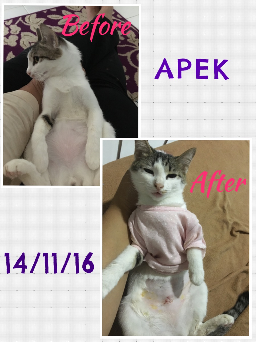 Processed with MOLDIV