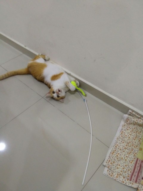 mini-01f81aed-cd79-4658-a515-22acaaa9d294