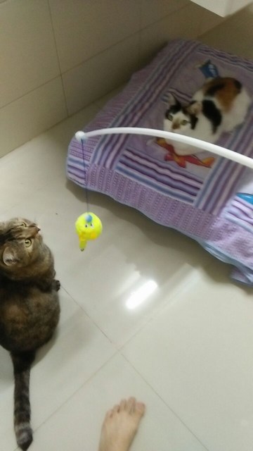 mini-5e301db9-6142-4660-8563-2f639a14b8eb