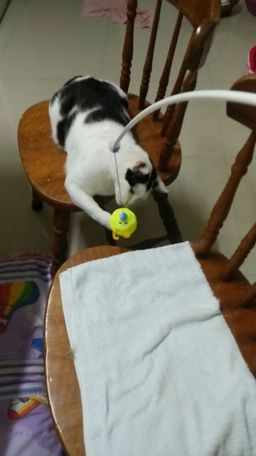 mini-777e5599-ec4e-4c31-9851-99fef8fc9975