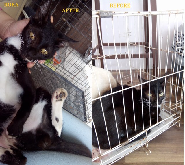 mini-img_20161109_141241