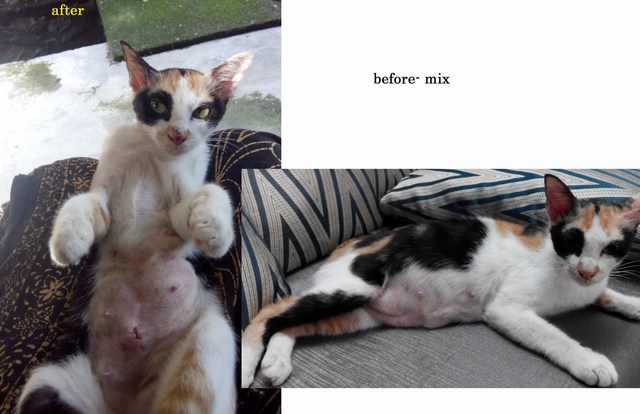 mini-img_20161110_094355