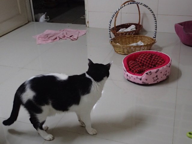 mini-pb160395
