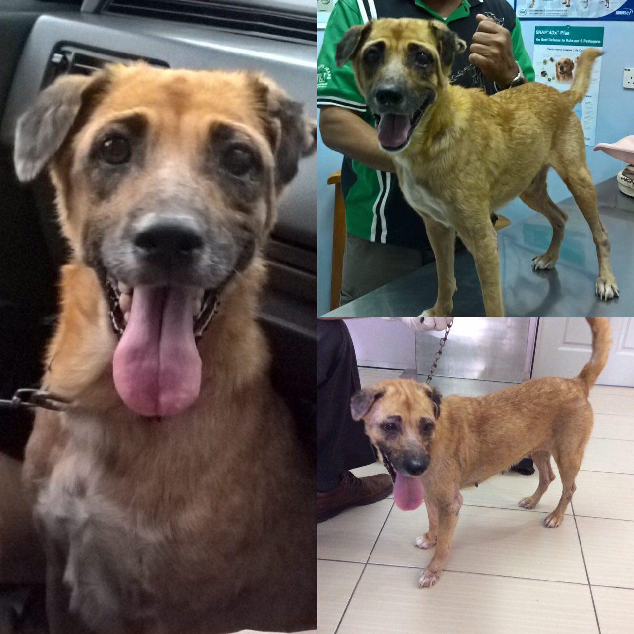 photo_2016-11-11_12-53-44