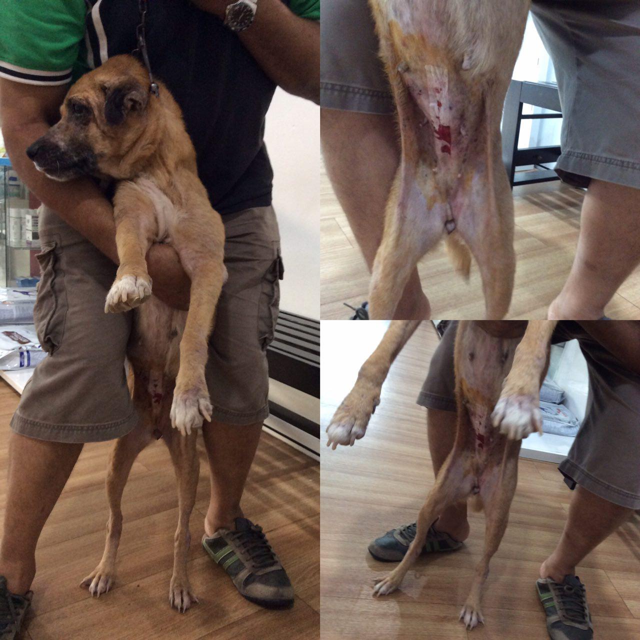 photo_2016-11-11_12-53-47