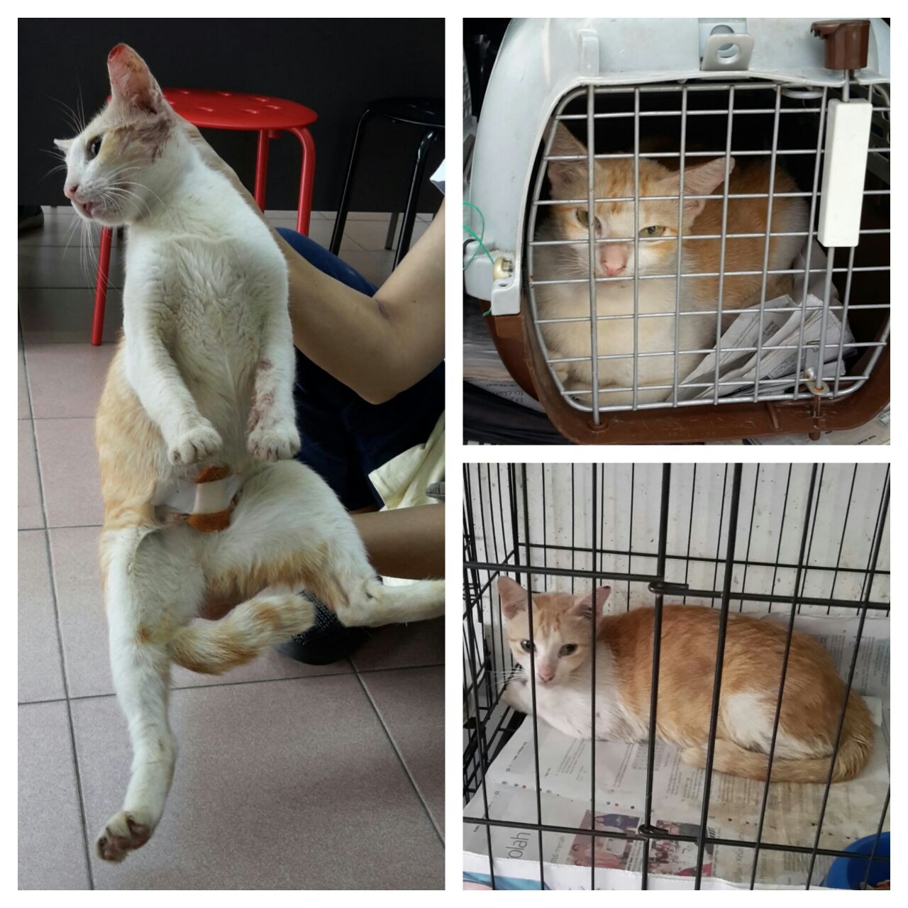 02e3e594-a423-4f1d-bf90-687f8267ae04