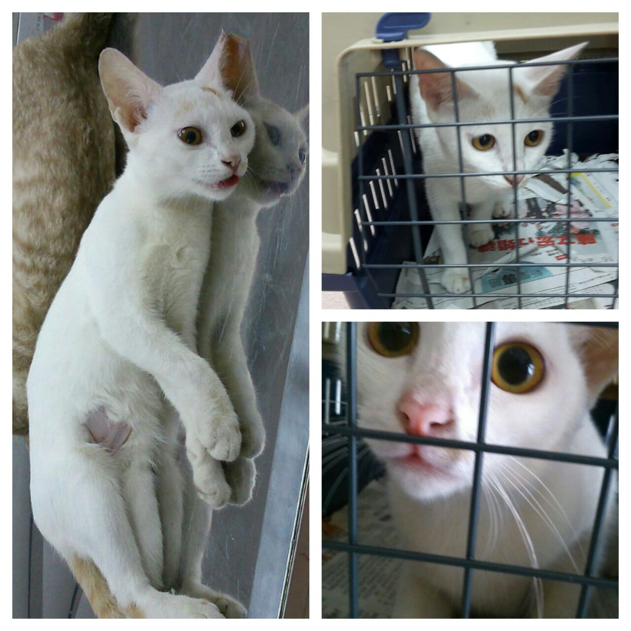 2bf3264c-e339-4ab0-a877-e43ca6879c18