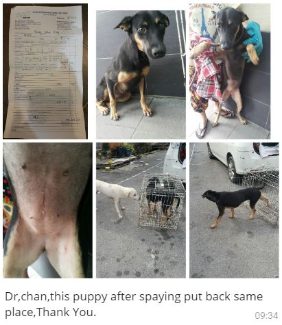 5946fcf7-dfca-4e62-9d30-b9b6f8caeadf