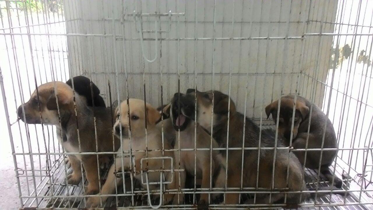 5c3dc996-08f1-48df-9493-fc6eb4578a62