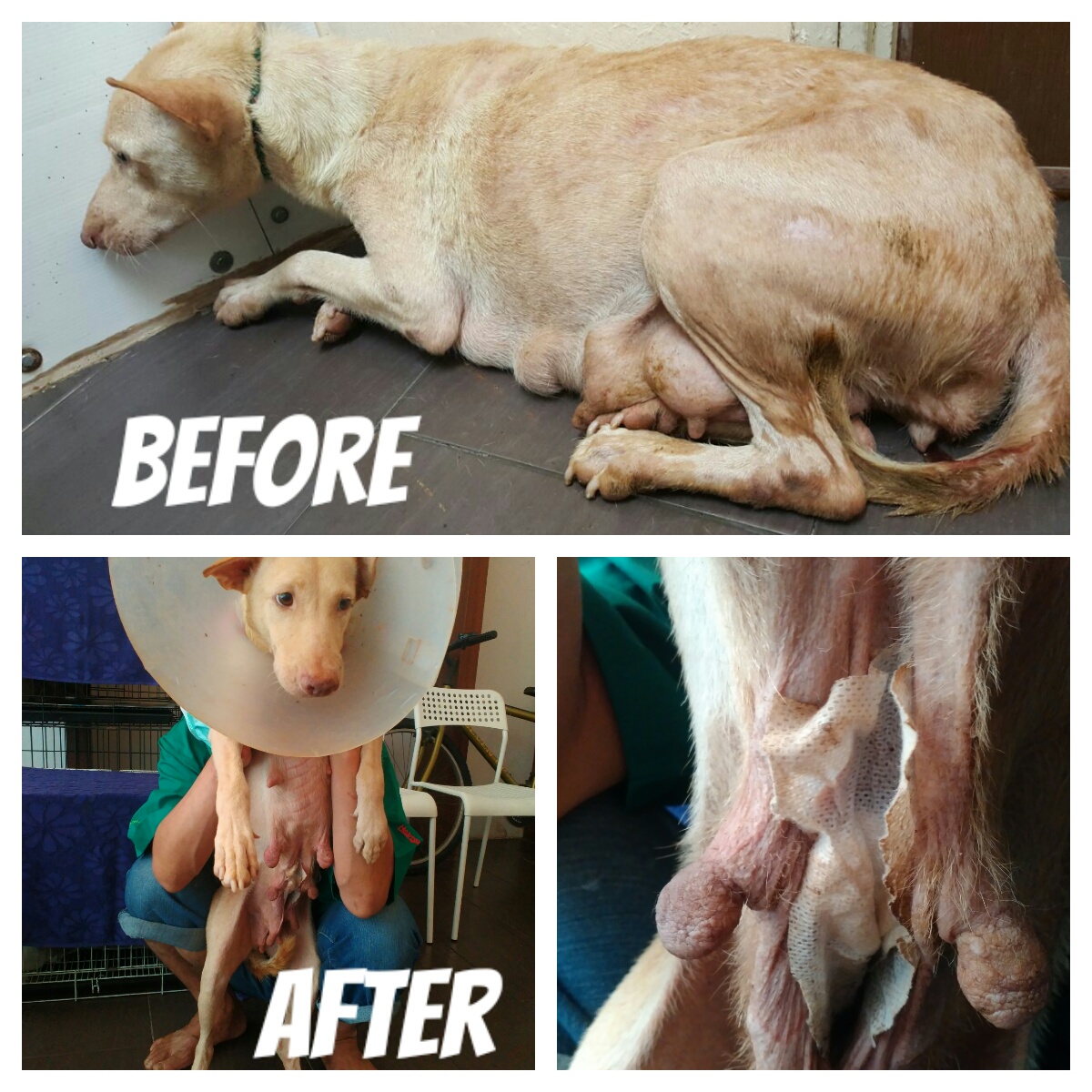 5d248b2f-034b-4a25-8d9e-bb5543393b74