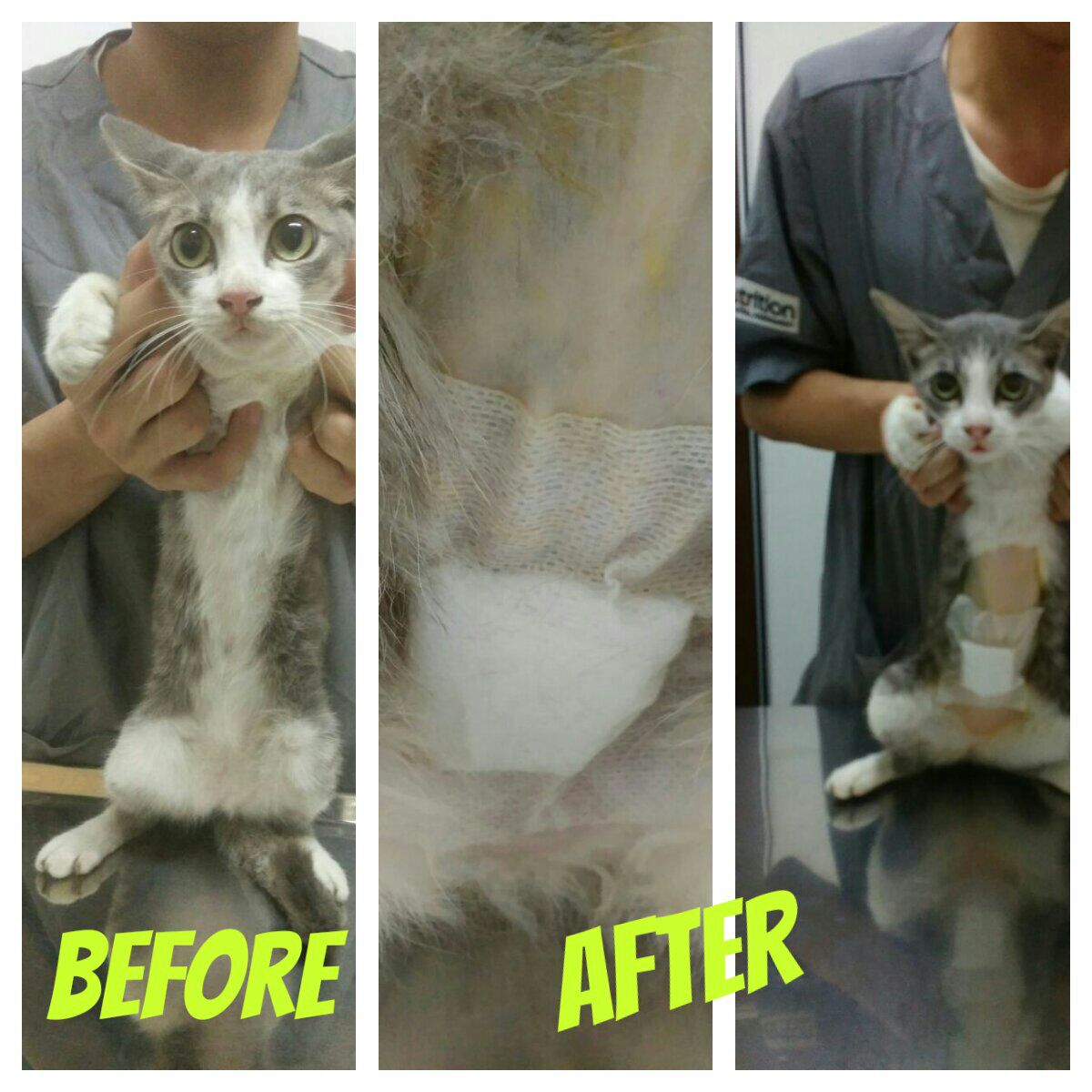 6cd6b940-83cf-46bf-8220-79890541b404