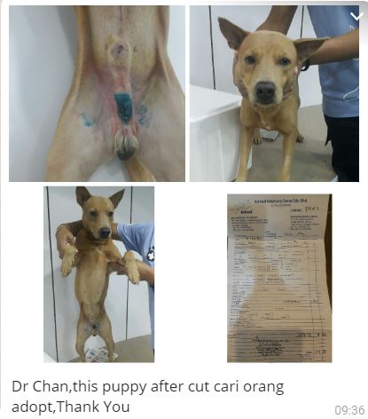 76a57316-91c2-41b0-aab6-3ffd9adfda35