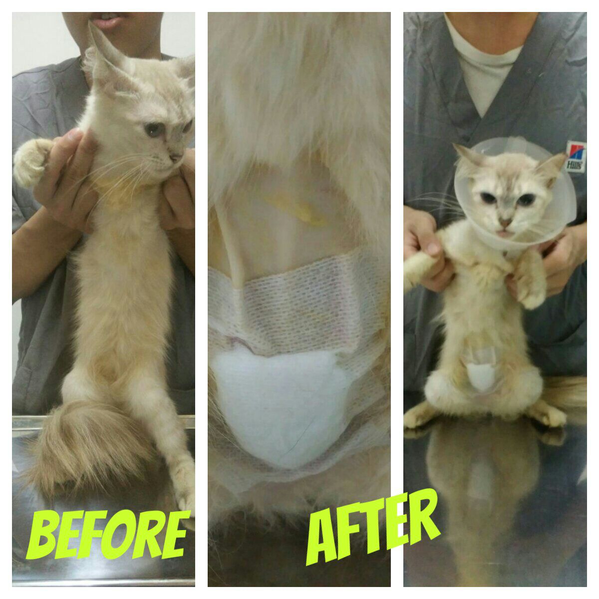 af06d435-3bec-4086-a042-6242150a7818