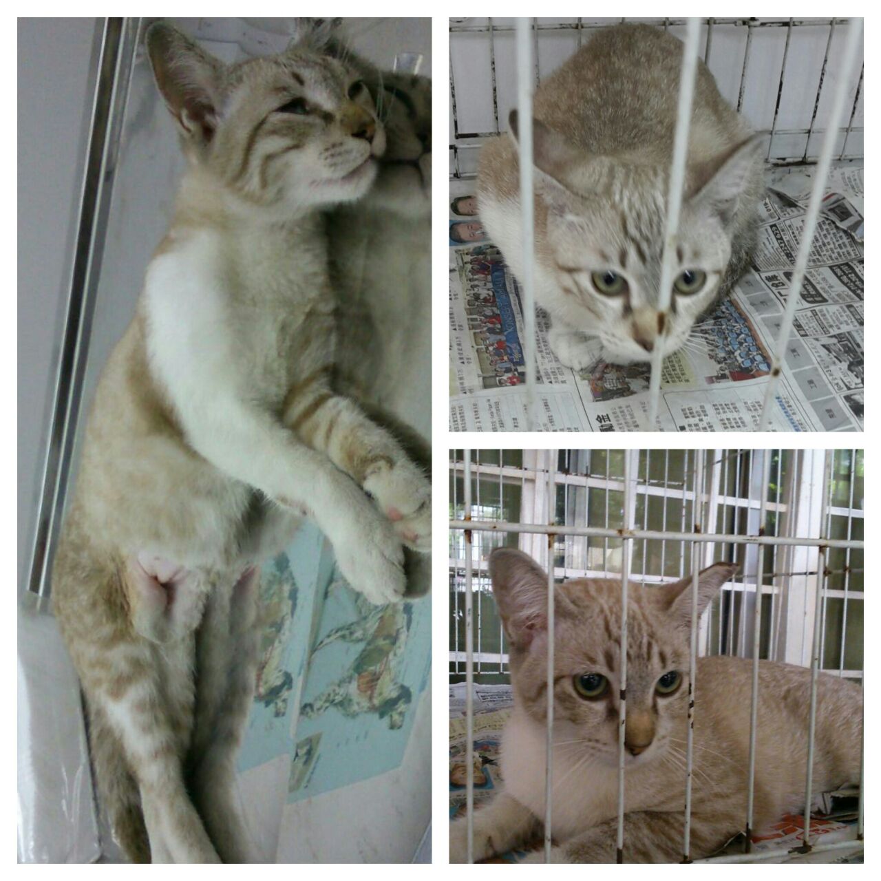 b6c27de4-1a43-482c-8c6e-10ade08a86fb