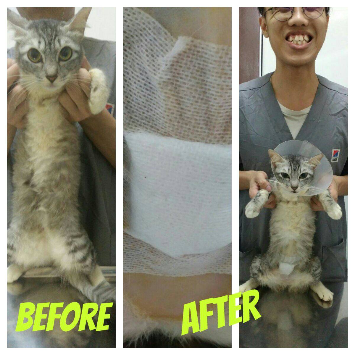 c94cb809-3861-4ff2-9fc0-bb92d76cd693