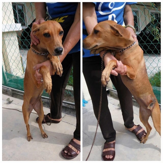 mini-2868bd02-7b84-4401-b804-0064423e3013