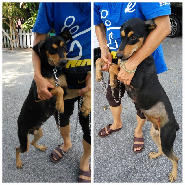 mini-c5805d3a-6172-4b72-b836-1f5b8777e659