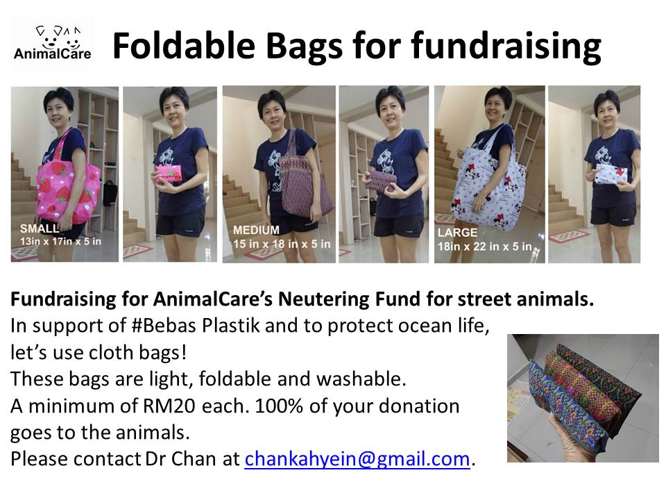 Foldable Bags for fundraising