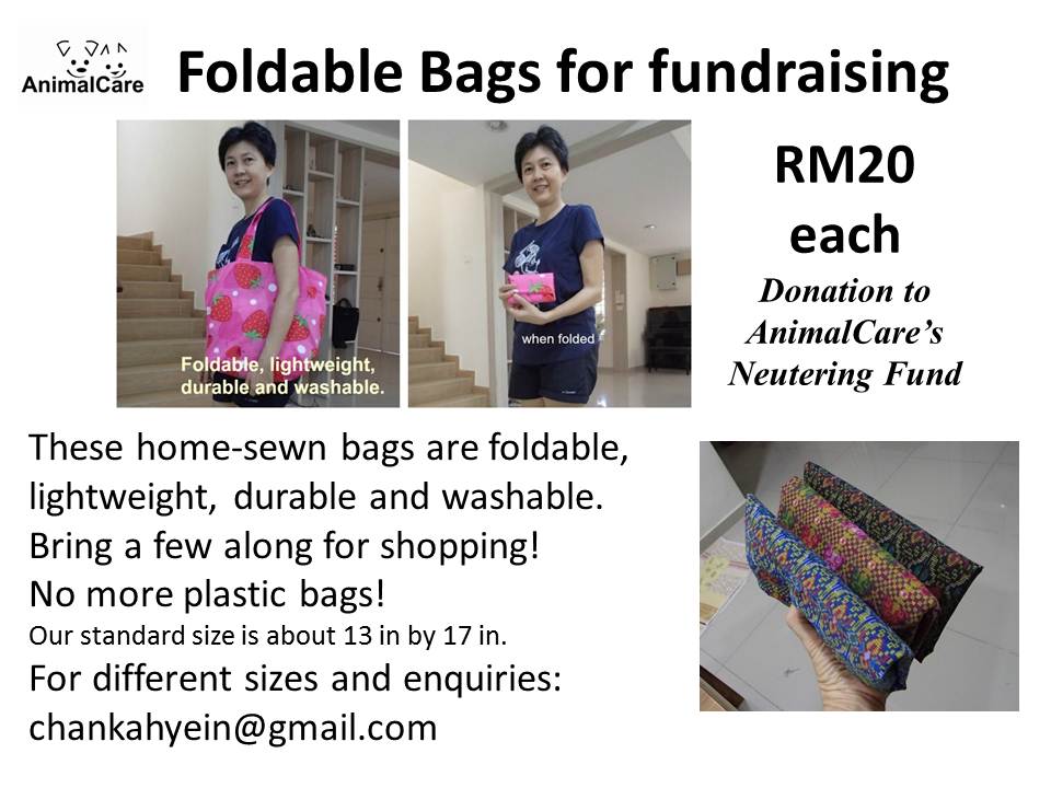 Foldable Bags (latest advert) 1