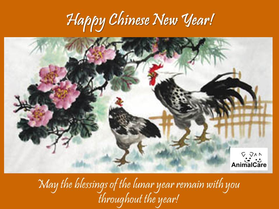 cny 2017