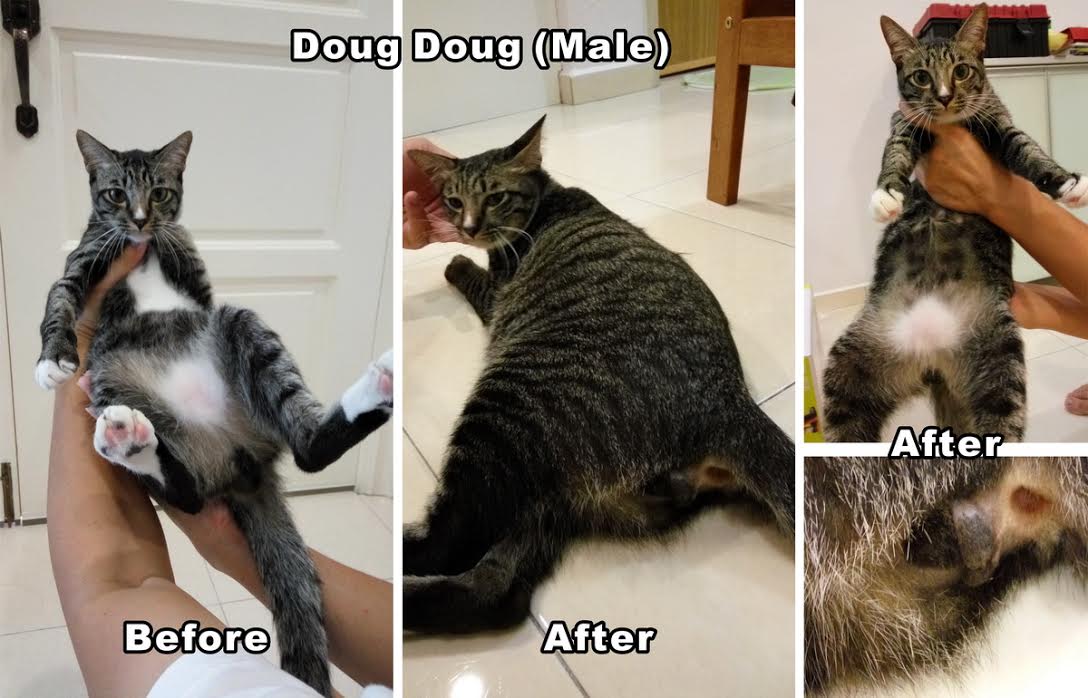 lee lee doug doug jan 24