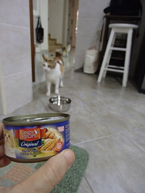 mini-P1160572