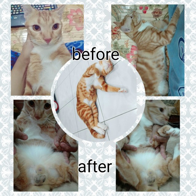 mini-photogrid_1483542198766