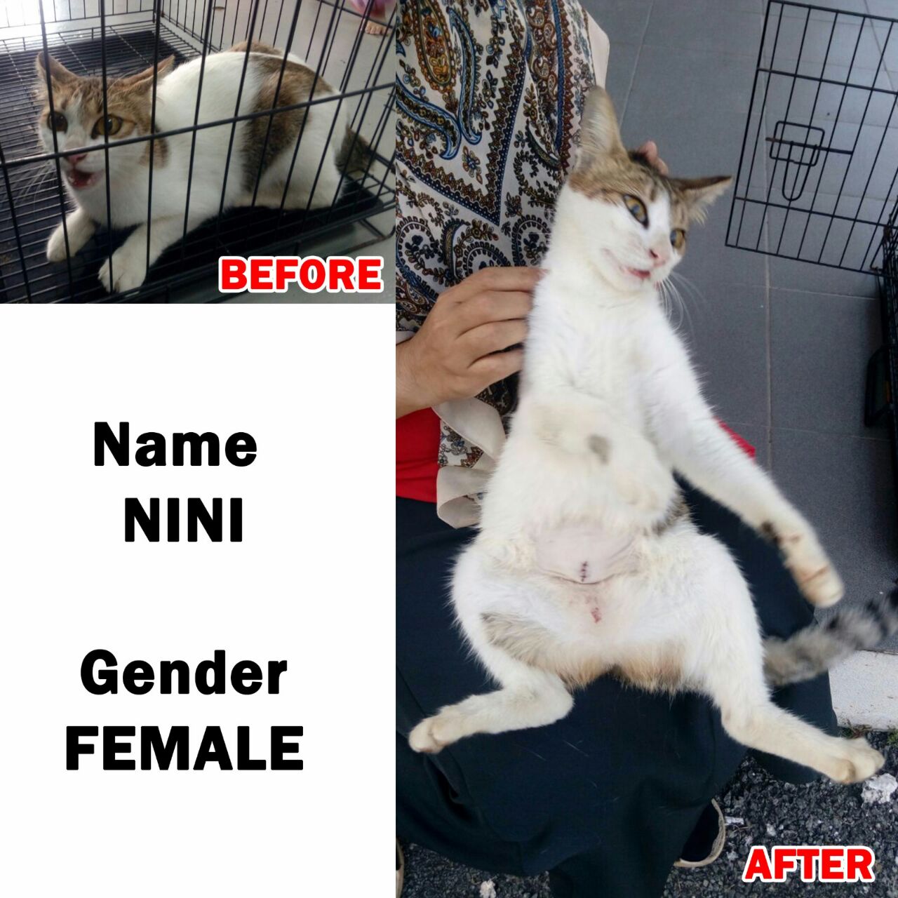 nini