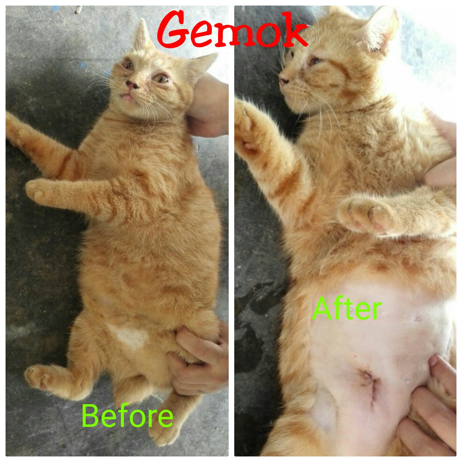 1485862840160