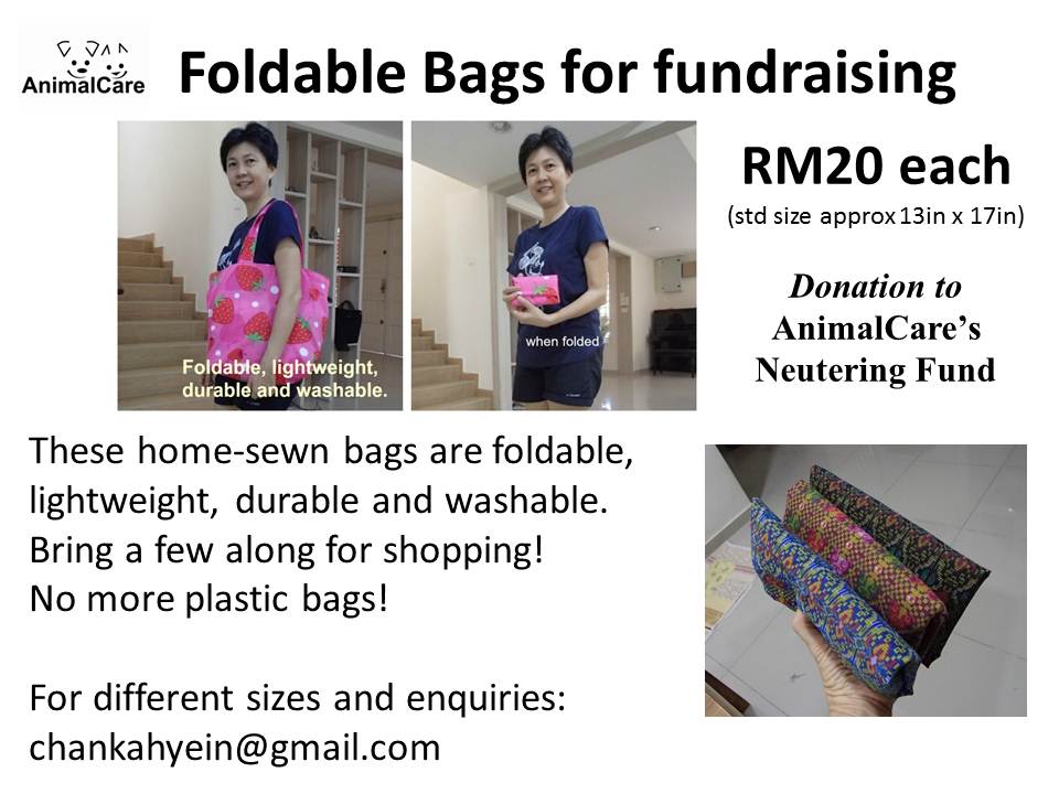 Foldable Bags (latest advert) 1