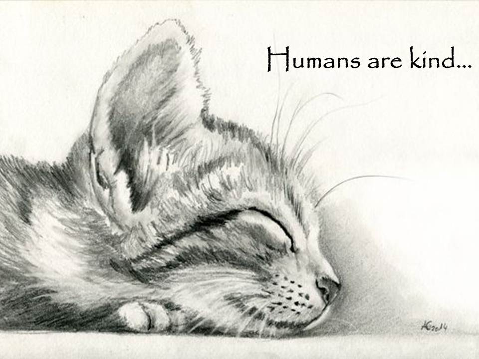 Humans are kind