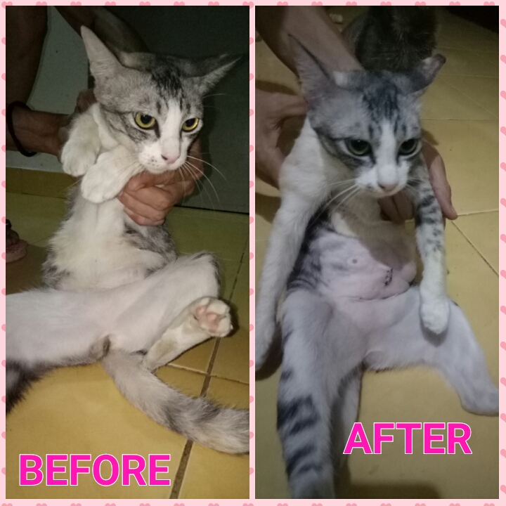 PhotoGrid_1487072799508