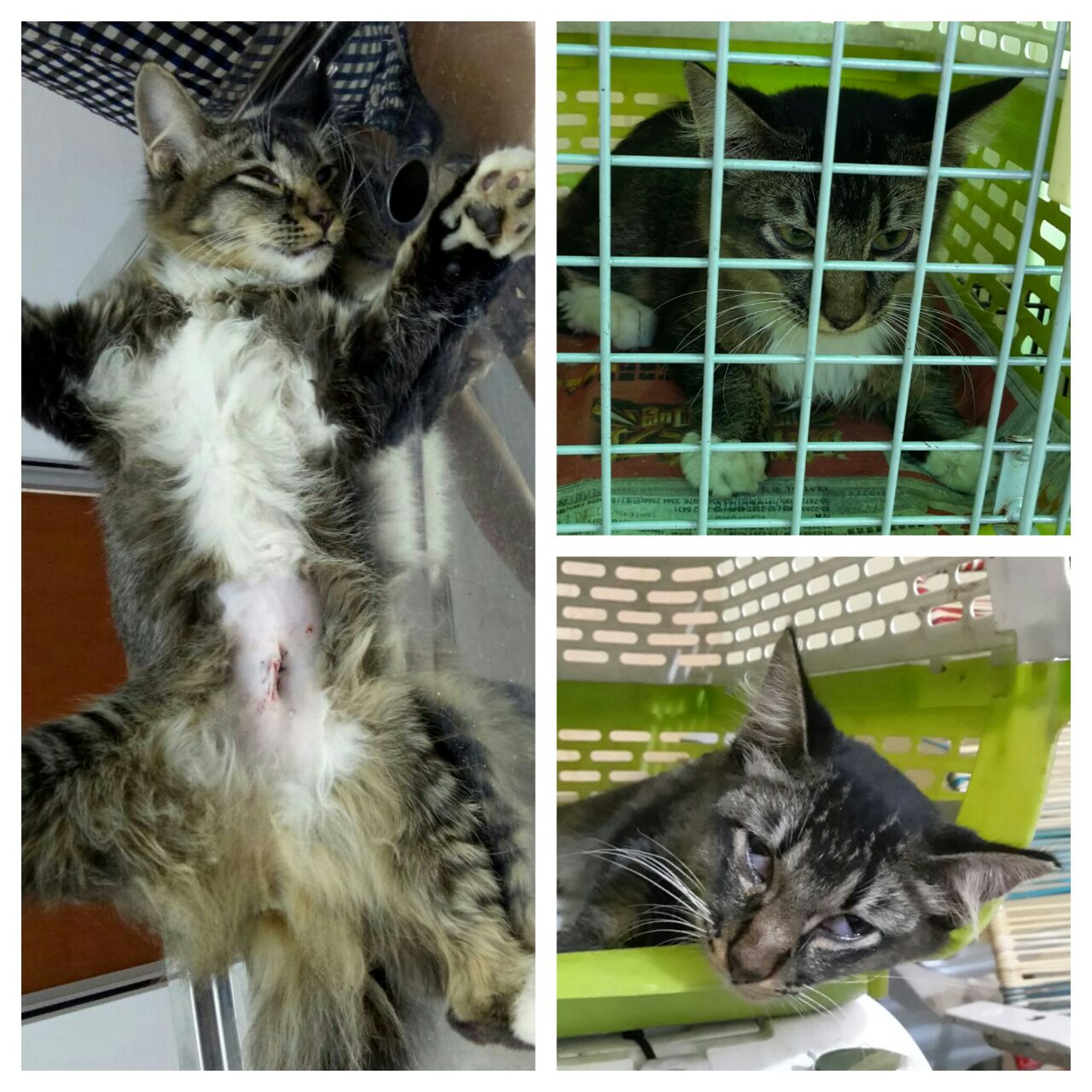 b830bb29-e248-4af4-8914-8cc5c932b689