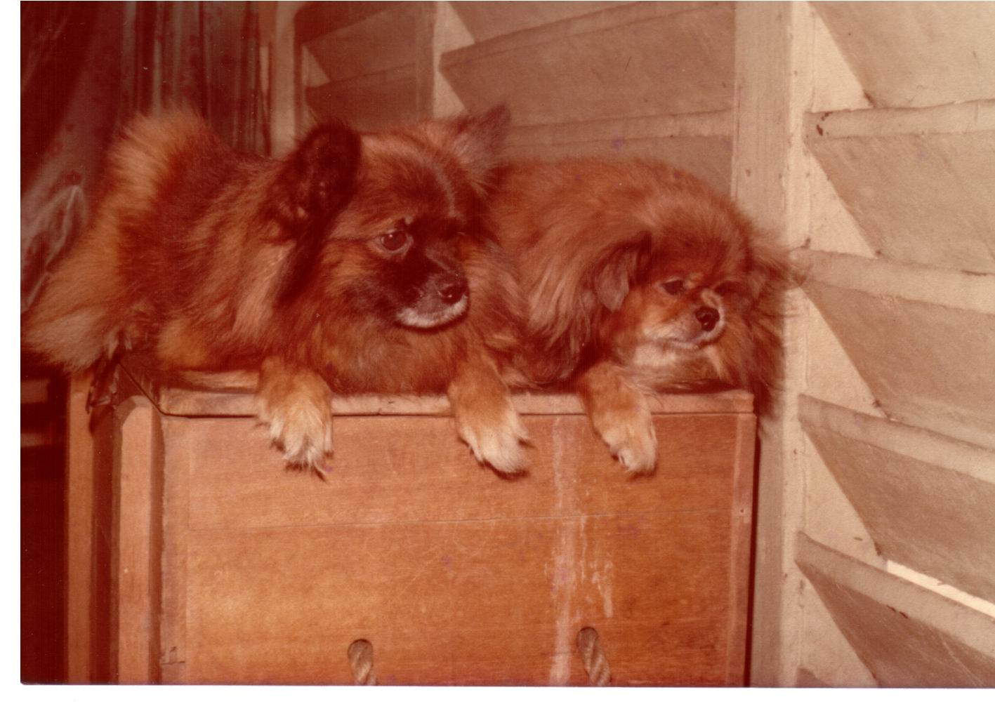 two on box