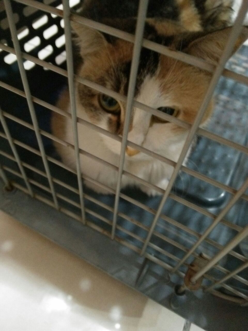 03516b12-d606-43c5-918b-260f850b8073