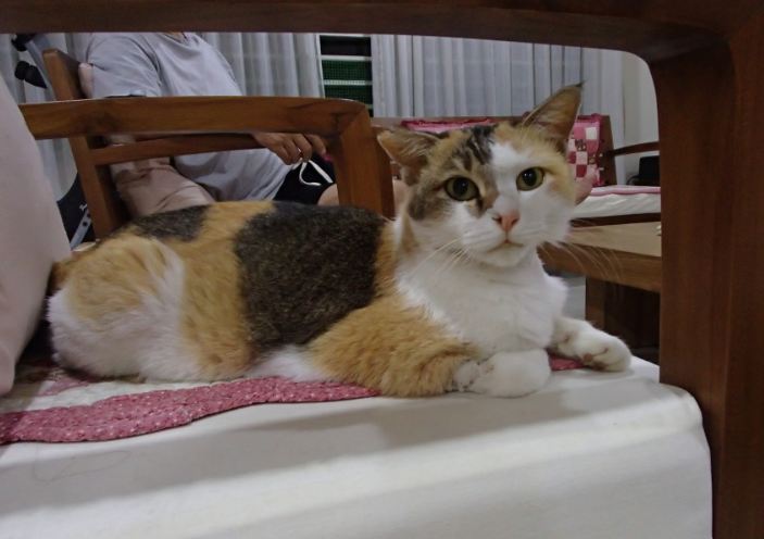Rosie