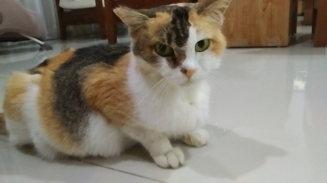 mini-IMG20170324204715