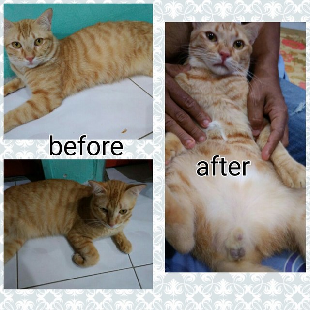 mini-PhotoGrid_1489504098027